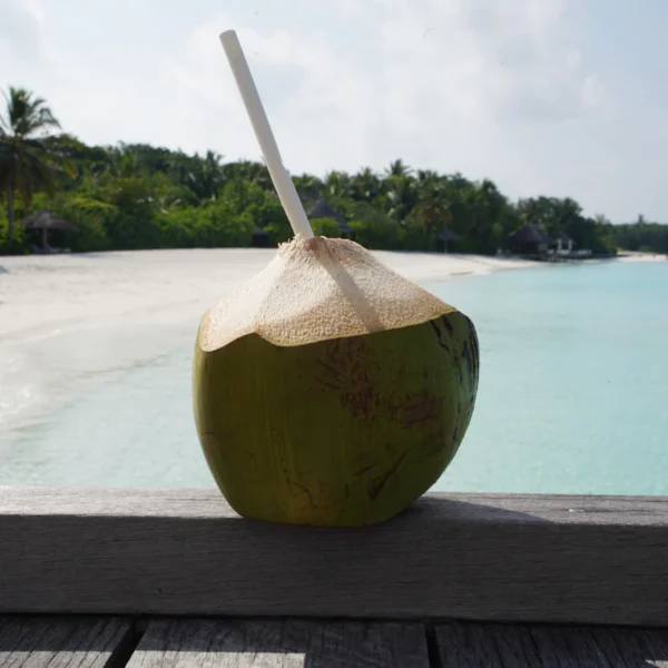 Pure Coconut Water 6-Pack — Beverages at Gallen Shop